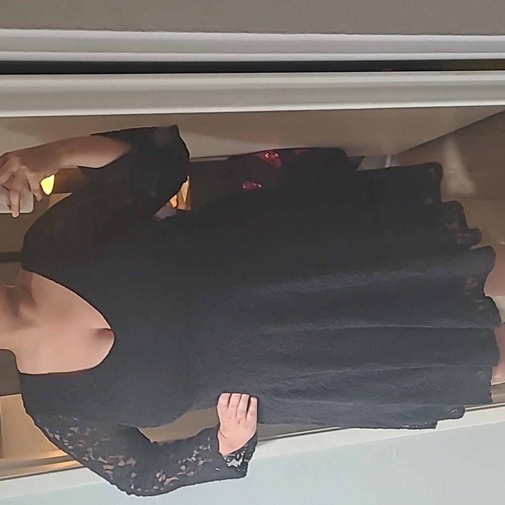 NWT Torrid Black Lace Skater Dress 1X